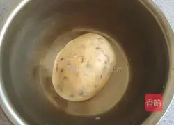 Cranberry Cookie Recipe Illustration 8