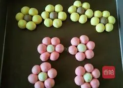 Illustration of making flower cookies 22
