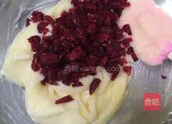 Cranberry Cookies Illustration of how to do it 6