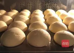 Once Illustration of how to make successful dinosaur eggs 11