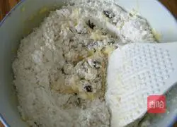 Cranberry cookies Practice illustration 4