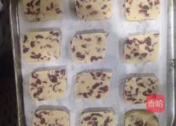 Red wine cranberry biscuits recipe 12