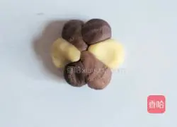 Illustration of how to make three-color cookies 13