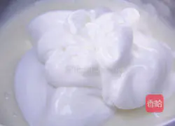 Spring Color~You Have a Story and I Have Flowers Illustrations of How to Make Flowers 12