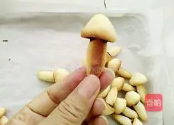 Mushroom Biscuits Recipe Illustration 15