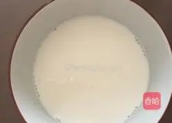 Milk egg tart recipe 2