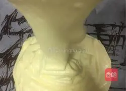 Illustration of how to make pattern cake rolls 16