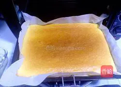 Yoghurt Cake Roll Recipe Illustration 18