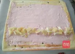 Passion Fruit Cake Illustration of how to make a roll 17