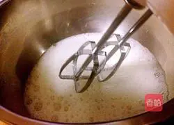 Yoghurt Cake Roll Recipe Illustration 8