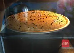 Pumpkin chiffon cake recipe 12