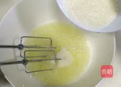 Coconut Cake Roll Recipe Illustration 8