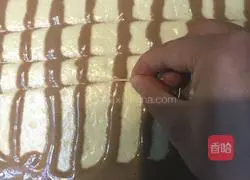 Illustration of how to make marble cheesecake 11