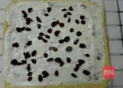 Double Berry Cake Roll Recipe Illustration 19