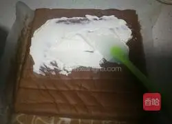 Giraffe cake roll recipe 16