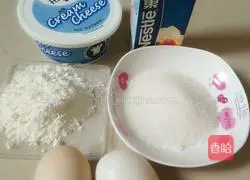 Cheesecake Recipe Illustration 1