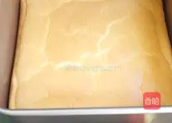 Cream cake recipe 11