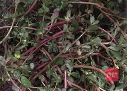 Illustration of how to make purslane egg cake 2