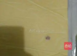 Tiger Skin Cake Roll Recipe Illustration 14