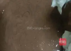 Chocolate Cream Cake Roll Recipe Illustration 8