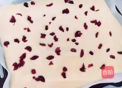 Cranberry Cake Roll Recipe Illustration 10