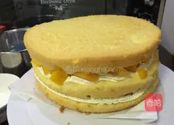 Chiffon Naked Cake Recipe Illustration 17