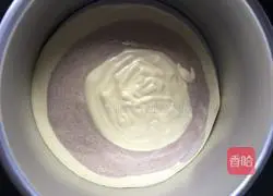 Marbled Chiffon Cake Recipe Illustration 14