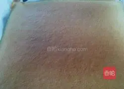 Blueberry Jam Cake Roll Recipe Illustration 16