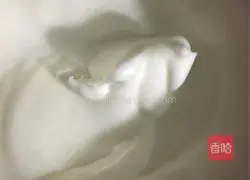 Yoghurt chiffon cake recipe 7