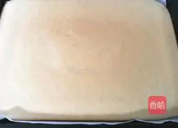 Salted Cream Cake (Old Cream) Recipe Illustration 2