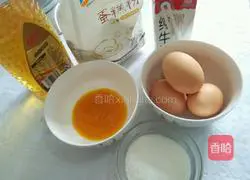 Pumpkin Chiffon Cake Recipe Illustration 1