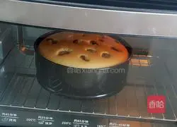 Raisin Chiffon Cake Recipe Illustration 16