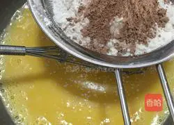 Vasalin Coco Chiffon Cake Recipe Illustration 5