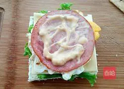 Cheese and ham sandwich recipe 8