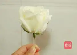 Illustration of how to make flower light cream cake 5