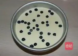 Blueberry Cheesecake Recipe Illustration 9