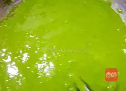 Matcha chiffon cake eight-inch recipe illustration 6