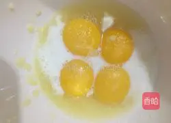 Lemon Cup Chiffon Cake Recipe Illustration 8