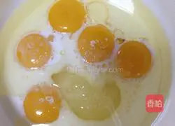 Chocolate Walnut Cake Roll Recipe Illustration 7