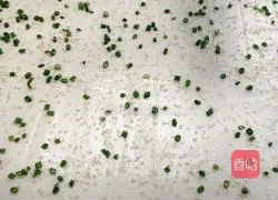 Illustration of how to make chive cheesecake rolls 4