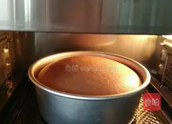 Cocoa Chiffon Cake Recipe Illustration 12