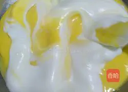 Speckled cake roll recipe 11