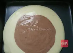 Zebra Chiffon Cake Recipe Illustration 6