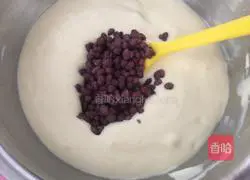Honey bean cake roll recipe 11