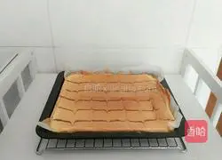 Chiba pattern Cake roll recipe 4