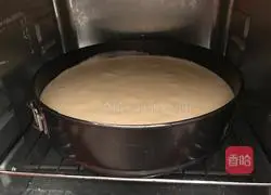 Chiffon sponge cake recipe 8