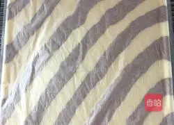 Illustration of how to make two-color cake rolls 17