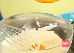 Coconut light cheese (cheese) cake recipe 3