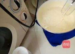 Hazelnut sponge cake recipe 8