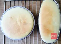 Yoghurt cheesecake recipe 14